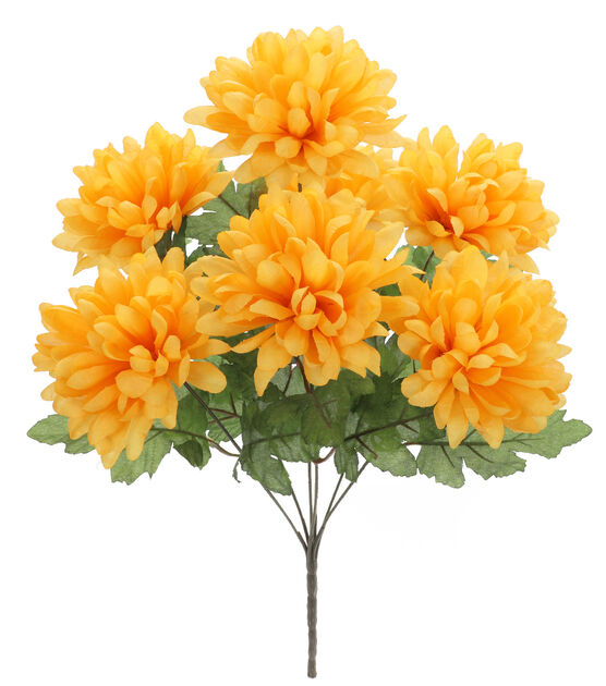 Yellow Mum Bush - Little Prairie Girl