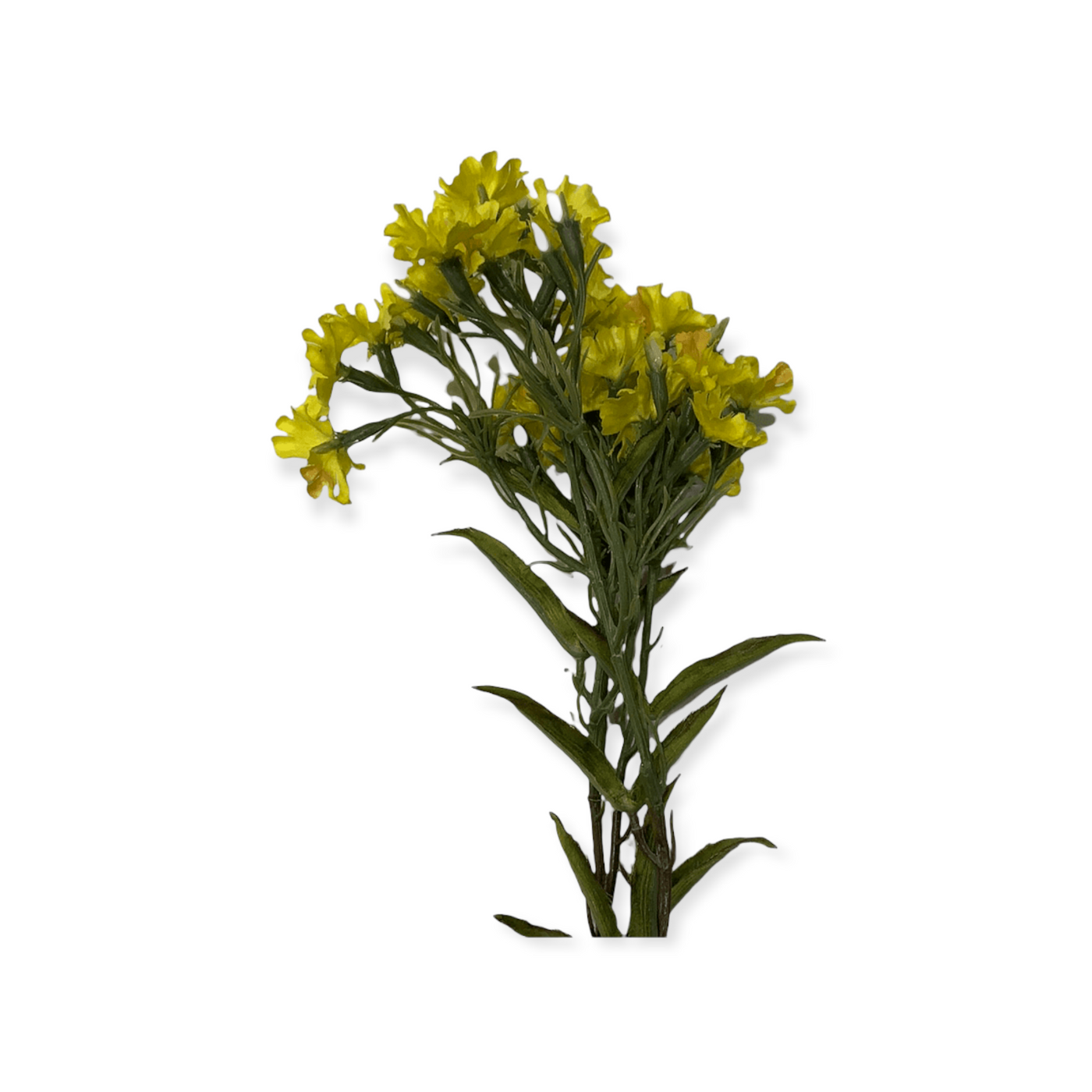 Mustard sprig - Little Prairie Girl