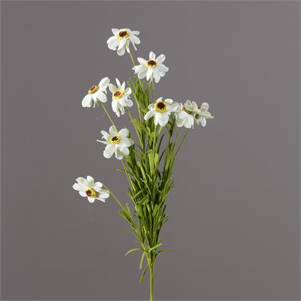 Mini White Coreopsis Pick - Little Prairie Girl