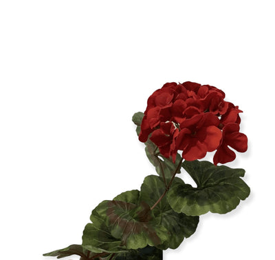 Red geranium single stem - Little Prairie Girl