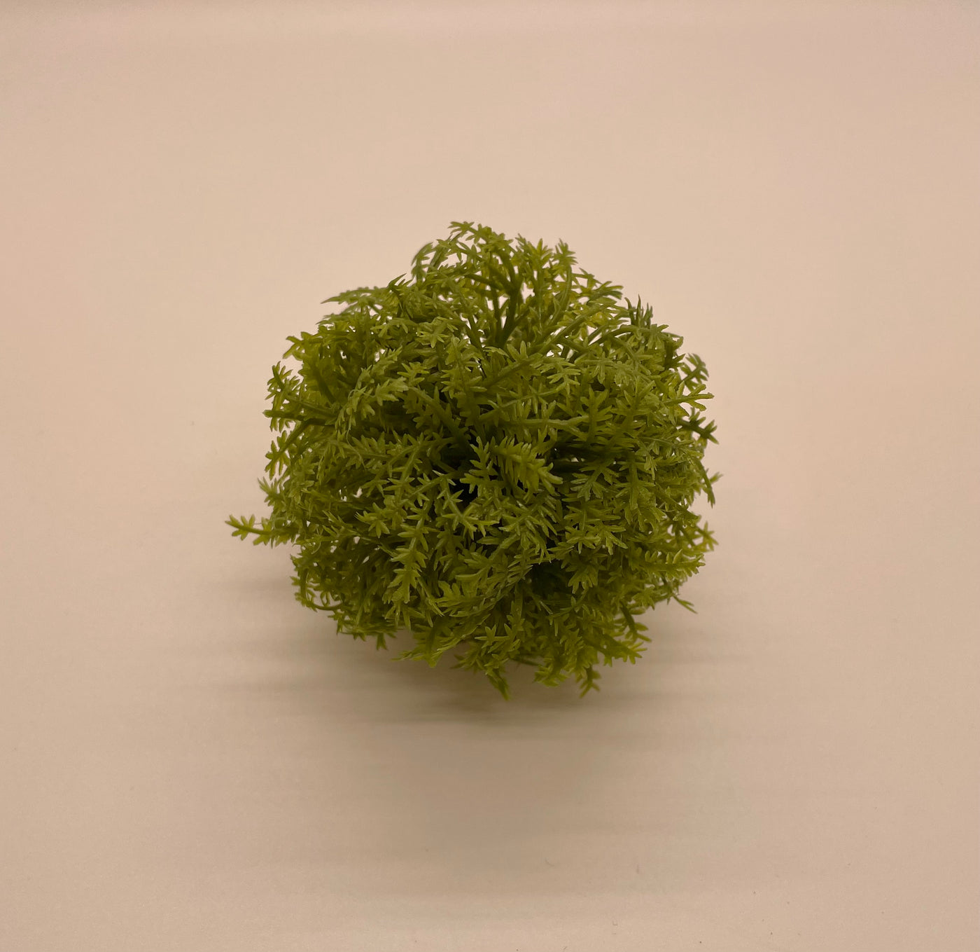 Mini Moss Balls - Little Prairie Girl