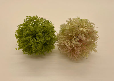 Mini Moss Balls - Little Prairie Girl