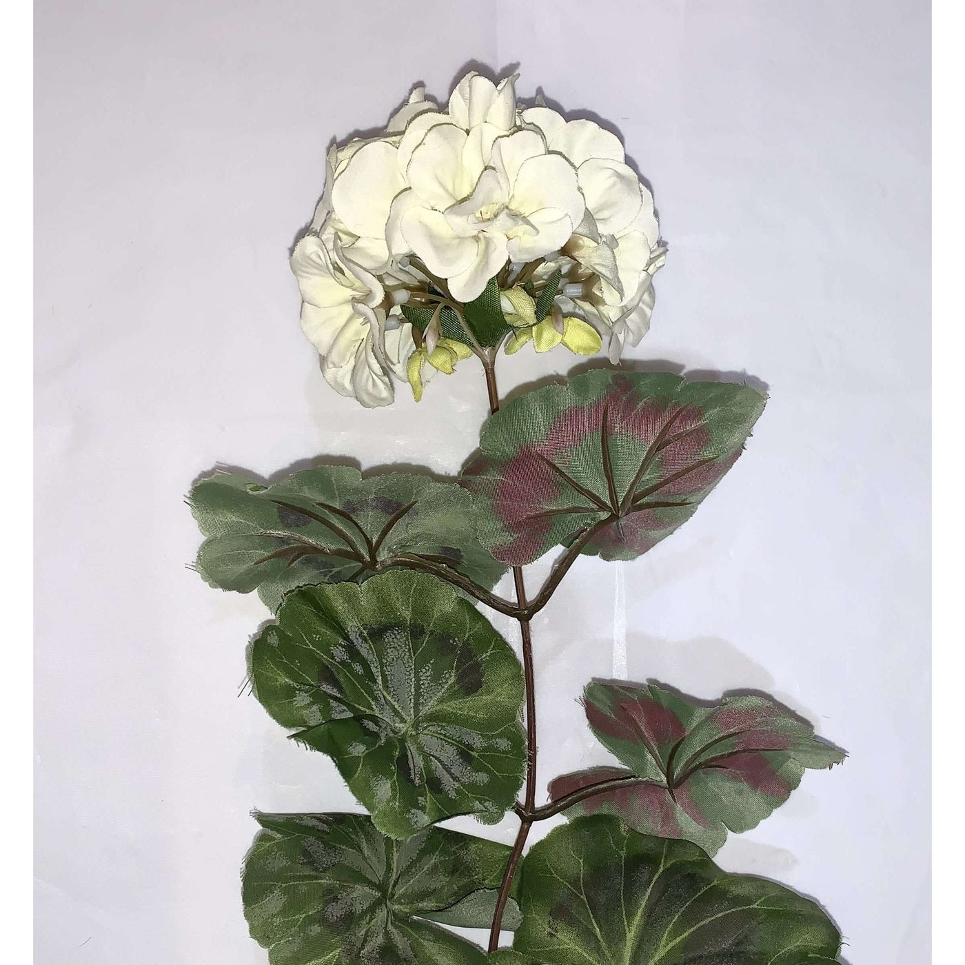 white geranium pick - Little Prairie Girl